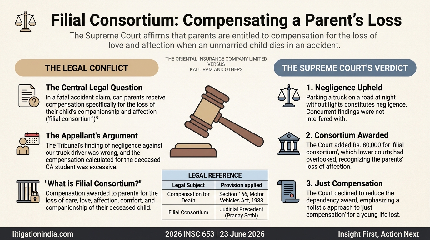 THE ORIENTAL INSURANCE COMPANY LIMITED VERSUS KALU RAM AND OTHERS — infographic summary